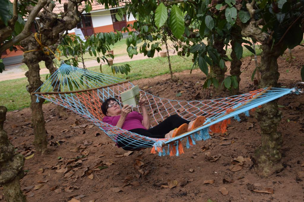 Stay Simple 3 Hills County Resort Kalpatta Buitenkant foto